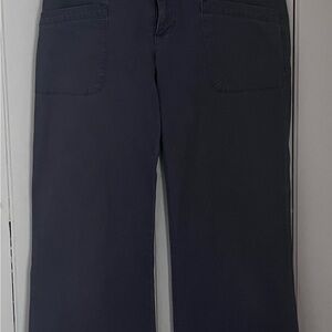 Chic Navy Blue Pants